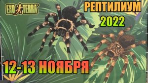 ОСЕННИЙ РЕПТИЛИУМ 2022  МОСКВА 12-13 НОЯБРЯ / ПОКУПКИ С РЕПТИЛИУМА / ОБЗОР ВЫСТАВКИ