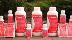 Посадка плодовых и хвойных деревьев с препаратами Радифарм и Мегафол