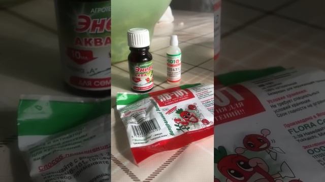 Проращиваю тыкву для кареты смотреть онлайн