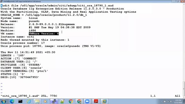 SESSION 39 AUDITING смотреть онлайн