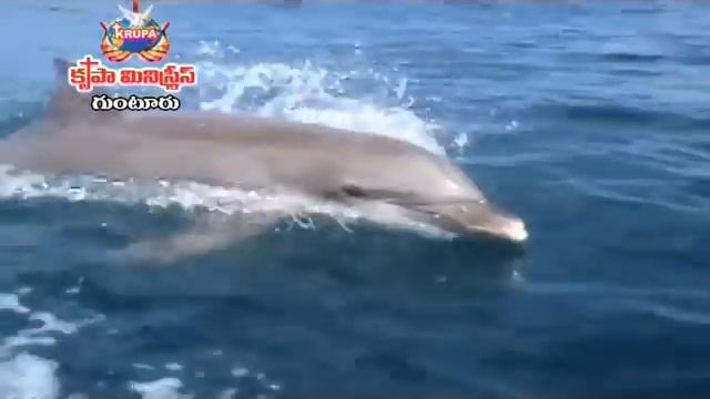 Jivamu Unna | Jeevapukota - Vol 5 - 2012| Bro. Mathews, Krupa Ministries, Guntur смотреть онлайн