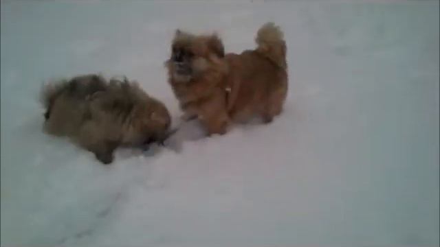 Cнова зима смотреть онлайн