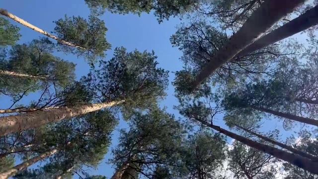 Райский уголок в 50 км. от дома. смотреть онлайн