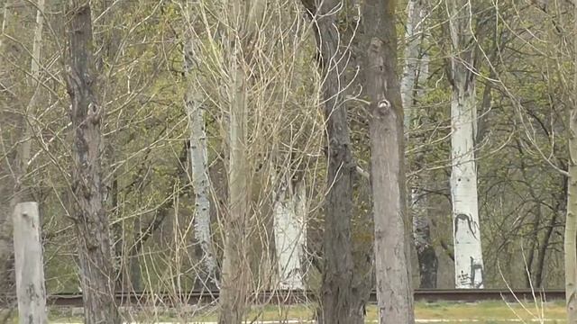 Мариупольский городской пляж.Апрель 2018. смотреть онлайн