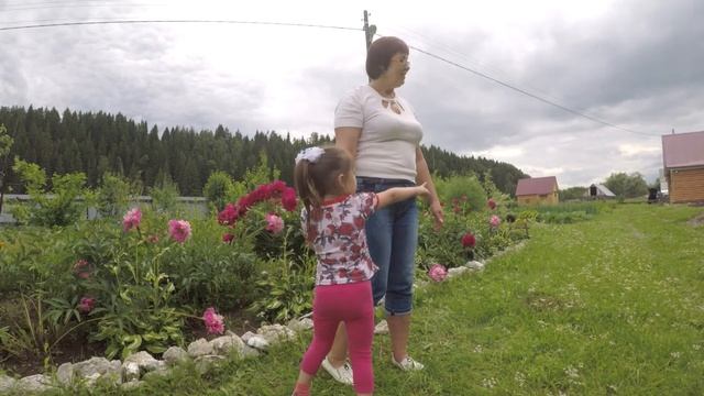 Маленькие экологи "Садовые цветы" смотреть онлайн