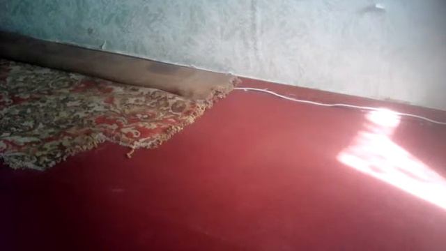 Как поживает мой уж, росказ об уходе! смотреть онлайн