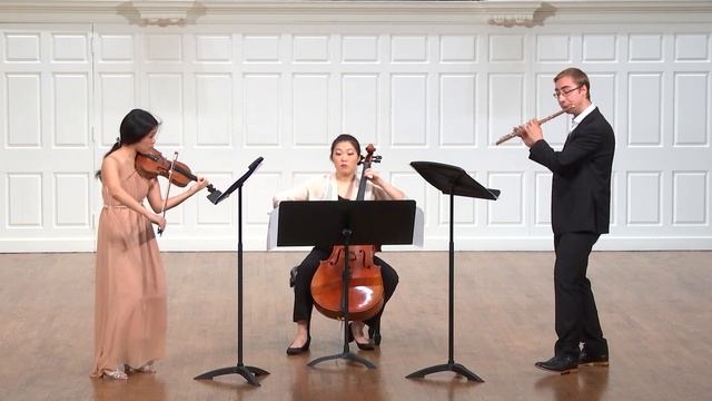 P. I. Tchaikovsky: Swan Lake - Waltz for flute, violin and cello смотреть онлайн