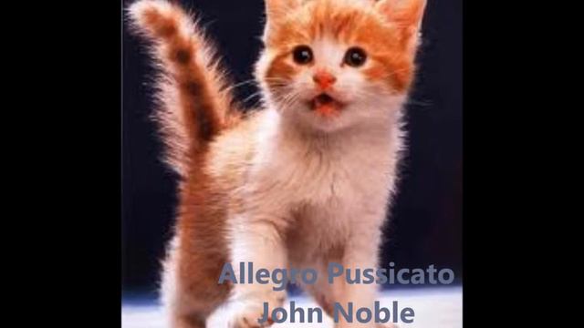 Cats Suite - Allegro Pussicato - de John Noble смотреть онлайн