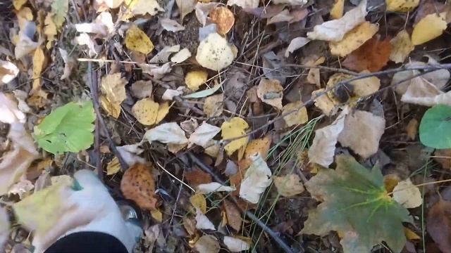 ПОИСК МЕТАЛЛОЛОМА БЕЗ МЕТАЛЛОИСКАТЕЛЯ НА ЛЕГКЕ! ЗАЕХАЛ НА ПРОМЗОНУ. смотреть онлайн