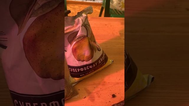 Посадка острого перца халапеньо смотреть онлайн