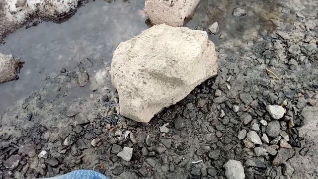 Газоблок – полный отстой!