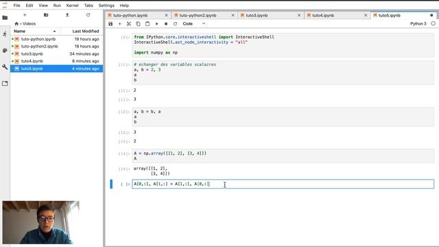 [Python pour les maths] Tutoriel : 5- échanger deux variables, deux lignes d'une matrice, etc. смотреть онлайн