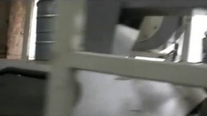 Линия для очистку и калибровку  подсолнуха семечек