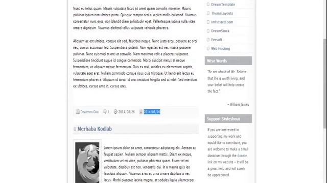 WORDPRESS TEMA PROGRAMLAMA3.kısım_480 смотреть онлайн