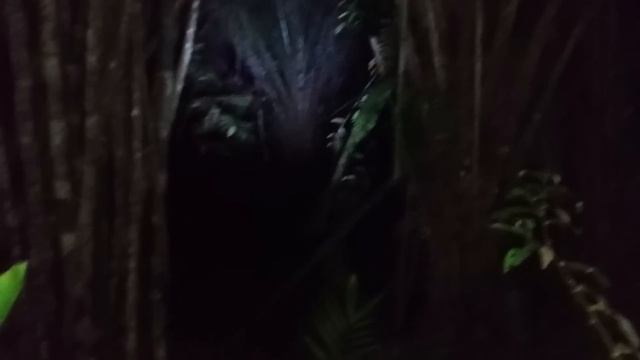 SOLO CAMPING HORROR:,HUJAN DERAS DITEMPAT PALING ANGKER #campinghoror #solocamping #penjelajah смотреть онлайн