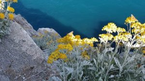 Крым. Отдых на море. Ялта, Ласточкино гнездо