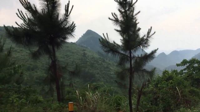 Shaoguan Mang Mountain 韶关莽山 смотреть онлайн