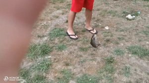 Ловля форели в Адыгее 20200724