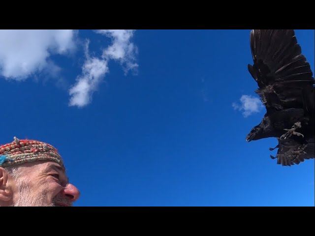 Как в кино... смотреть онлайн