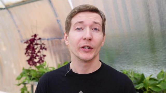 №28 Как подготовить керамзит смотреть онлайн