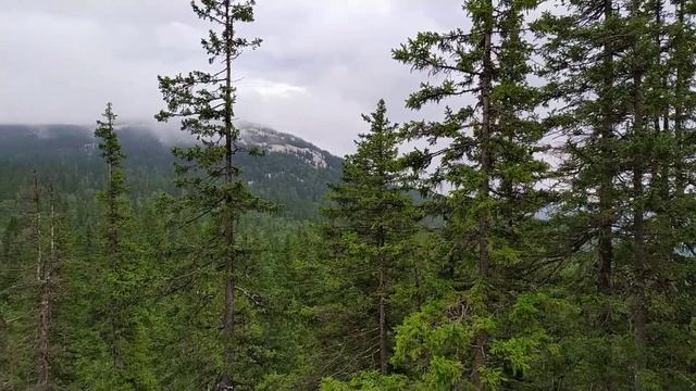 Зюраткуль Лысая гора Мы ползем смотреть онлайн