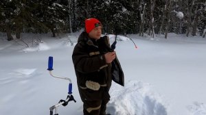 О такой удочке мечтает каждый РЫБАК / Эта удочка творит чудеса / Электронная удочка СПУТНИК