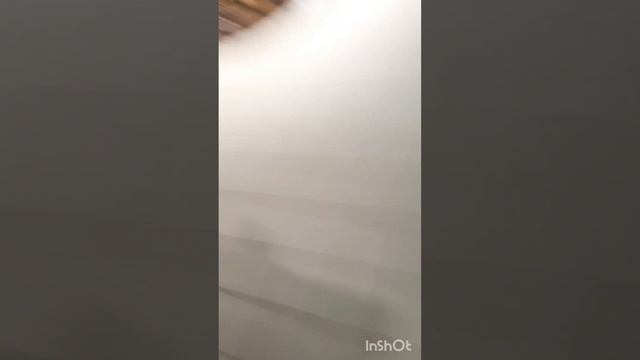 Найти любую вкусняшку по всему магазину по цветам за 7 секунд смотреть онлайн