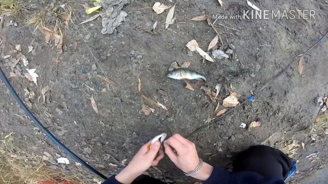 Курганский Водопад смотреть онлайн