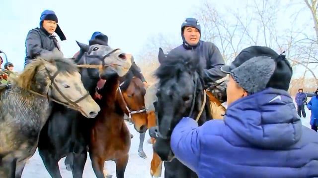 Кок бору (улак) Красноярск 07.02.2016. 1 болум