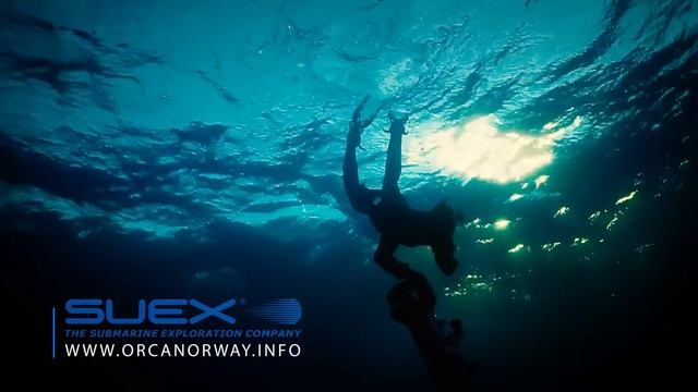 SUEX ORCA DIVING смотреть онлайн