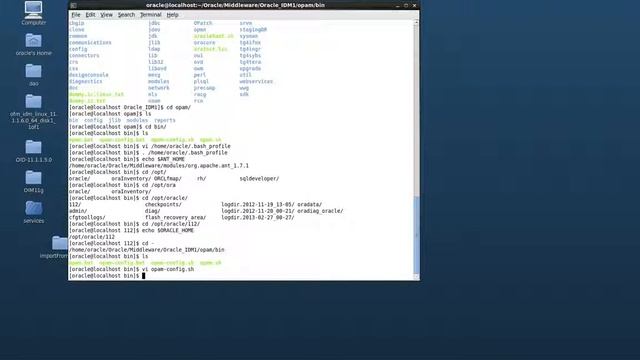 HOW TO: Install OPAM Oracle Privileged Manager 11gR2 on Oracle Linux 64bit смотреть онлайн