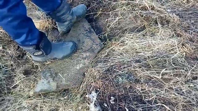 Металокоп с тх 850 . копаем по старине смотреть онлайн