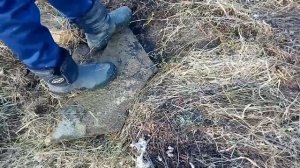 Металокоп с тх 850 . копаем по старине