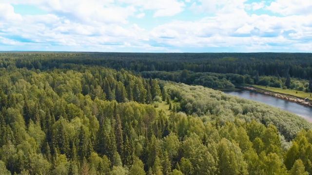 Особенности национальной ярегской рыбалки смотреть онлайн