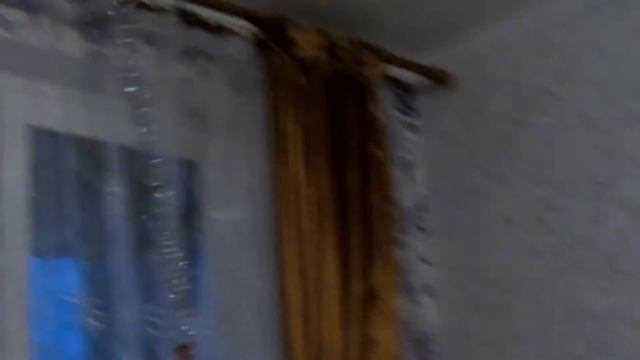 Птицы амадины украшают квартиру к Новому Году ! смотреть онлайн