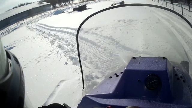 Рысь