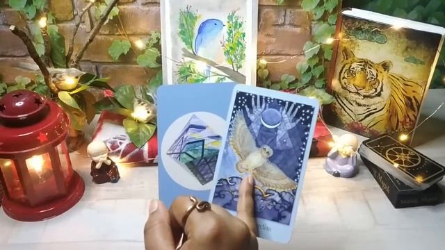 ?Pick A Card?| Priceless Wisdom from the Keepers of the Earth - Timeless Tarot Reading.?? смотреть онлайн