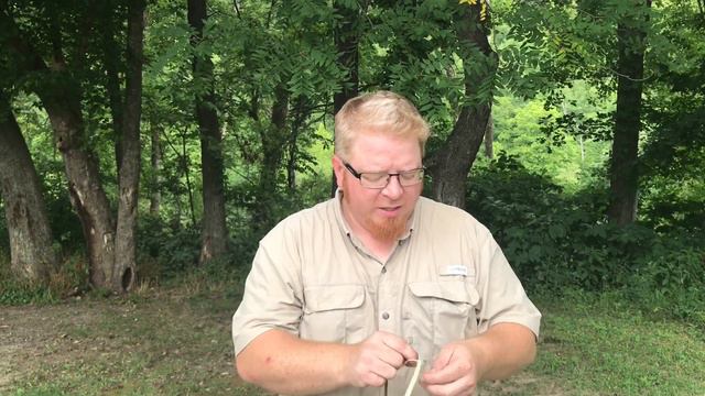 Primitive Thorn Fish Hook Leader Line смотреть онлайн