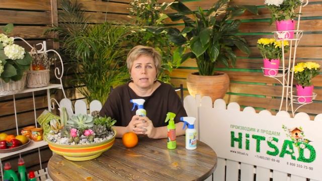 Животные в саду ➡ Как отвадить кошек от грядок? ? Полезные советы hitsadTV смотреть онлайн