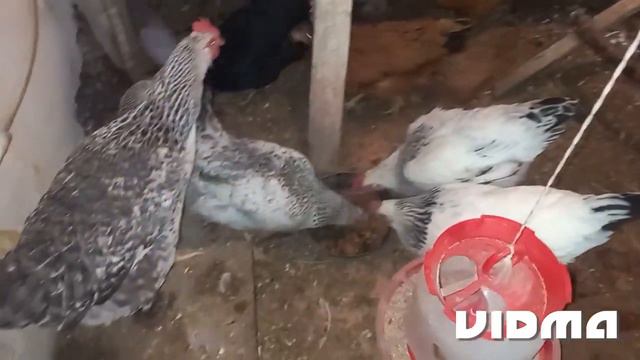 На душе стало легче. смотреть онлайн