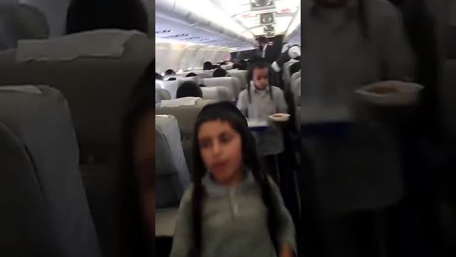 Хасиды в самолете... нет слов. смотреть онлайн