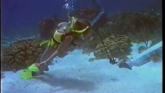 p el_arrecife_de_los_alacranes.avi смотреть онлайн