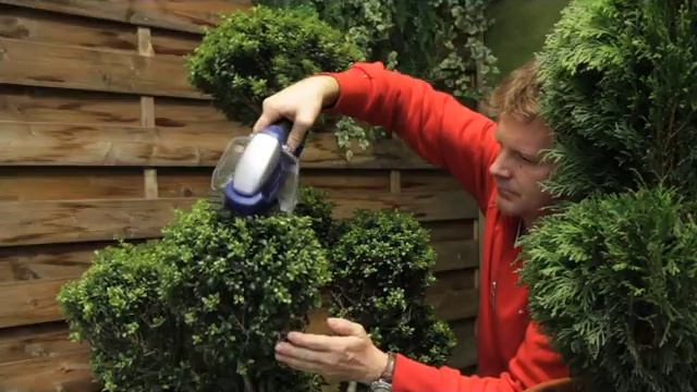 Einhell BG-CC 7,2 Li Cordless Hedge-/Shrub Shaper смотреть онлайн