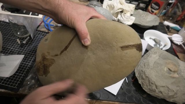 Prepping a penguin, fish, turtle, and crab [current prep projects] смотреть онлайн