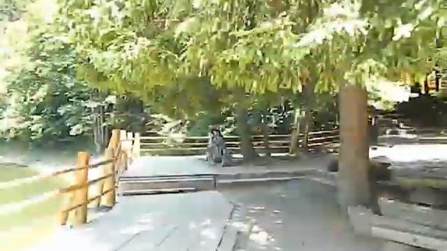 Закарпатье. оз.Синевир. ( 1000 м. над уровнем моря ) смотреть онлайн