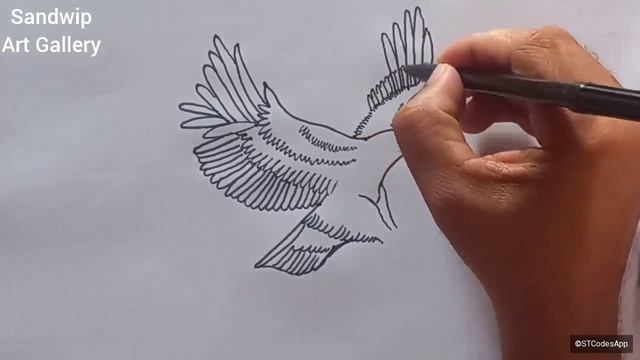 Eagle drawing | How to draw an Eagle step by step смотреть онлайн