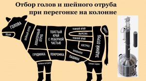 Отбор голов в колонне при перегонке.