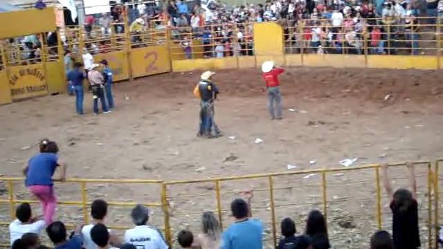 rodeio no parque dos tropeiros em curitiba смотреть онлайн