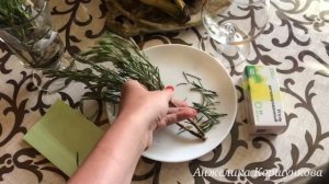 Розмарин. Укоренение.Лайфхаки