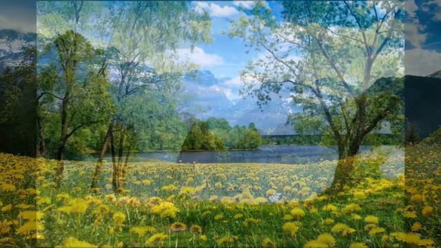 стих Раскаяние никогда не поздно автор Лариса Дьяченко смотреть онлайн